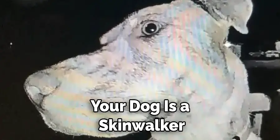 How to Know if Your Dog Is a Skinwalker | Described in 08 Steps - How To Tell If A Skinwalker Is Near