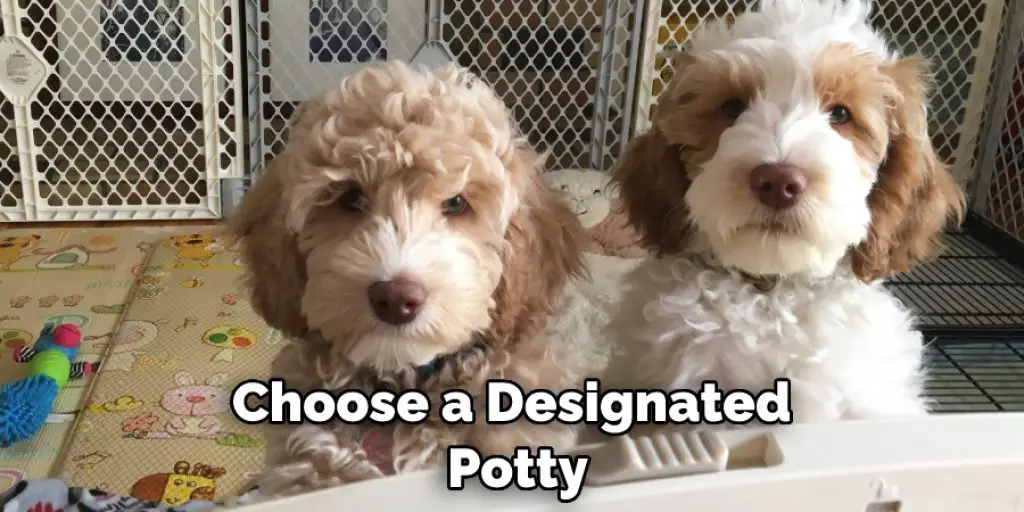 Choose a Designated  Potty