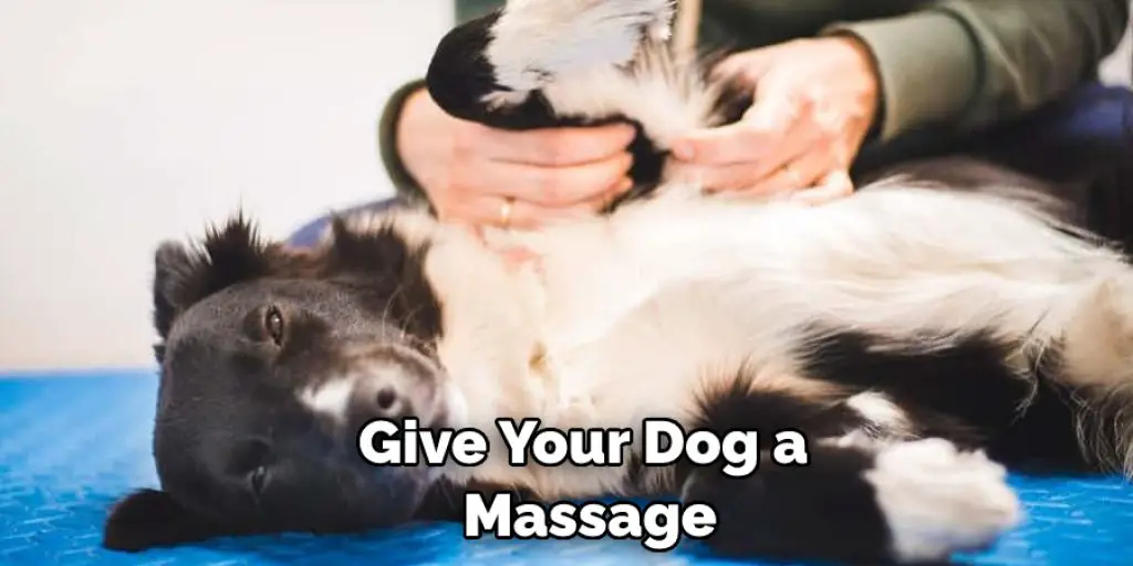 Give Your Dog a  Massage
