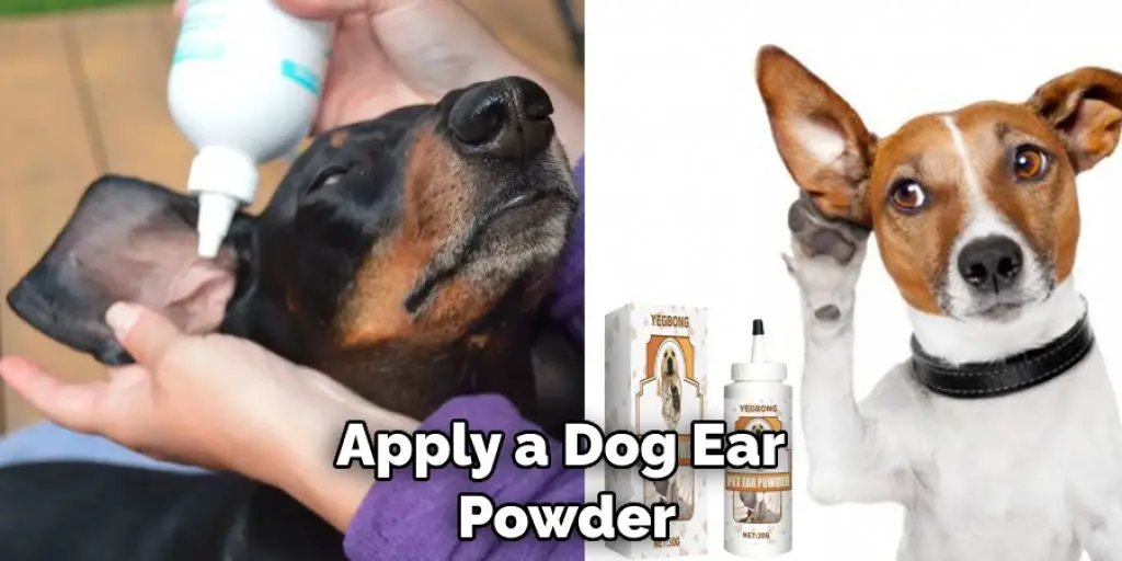 Apply a Dog Ear Powder