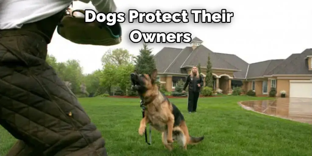 Dogs Protect Their Owners