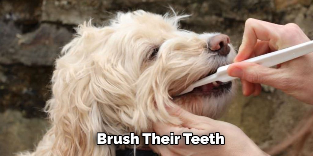  Brush Their Teeth
