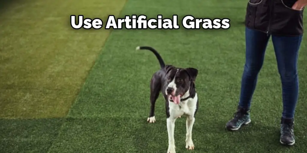 Use Artificial Grass 