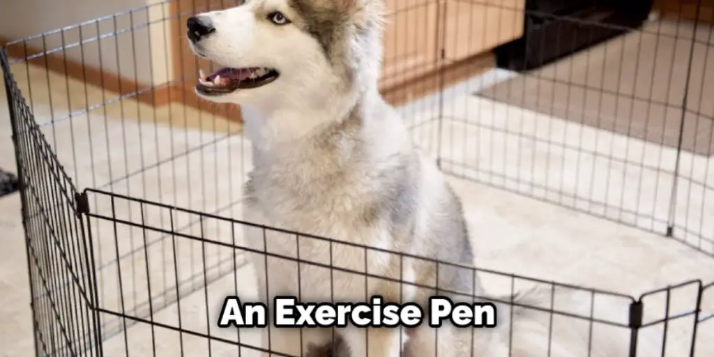 An Exercise Pen