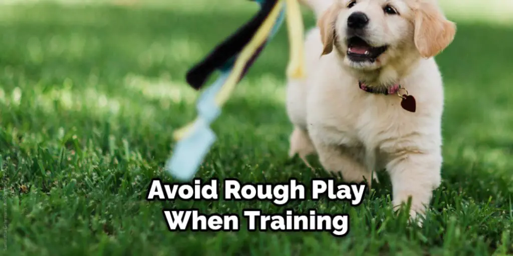 Avoid Rough Play When Training
