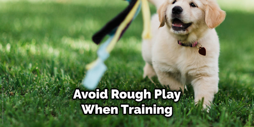 How to Train a Golden Retriever Puppy Not to Bite 10 Ways