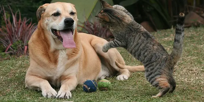 Keeping Track of Their Playtime