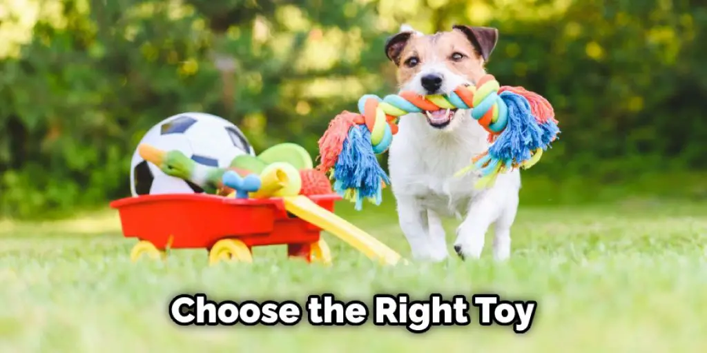 Choose the Right Toy