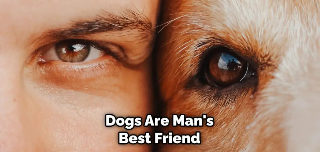 Dogs Are Man's Best Friend