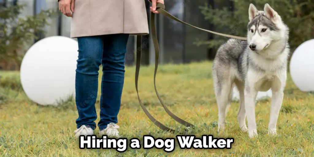 Hiring a Dog Walker
