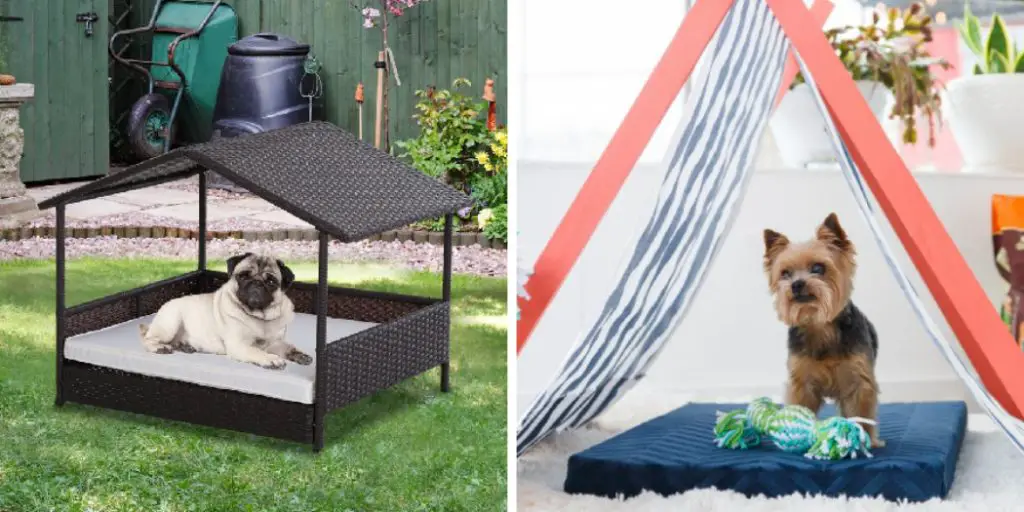How to Provide Shade for Dogs