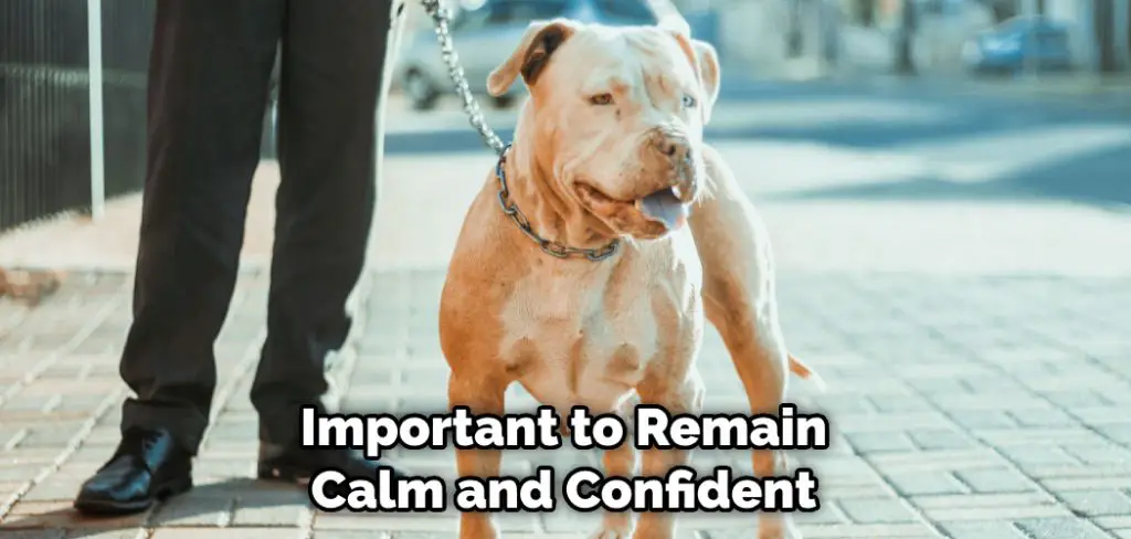 Important to Remain Calm and Confident