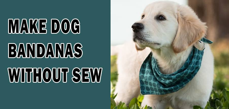 Make Dog Bandanas Without Sew