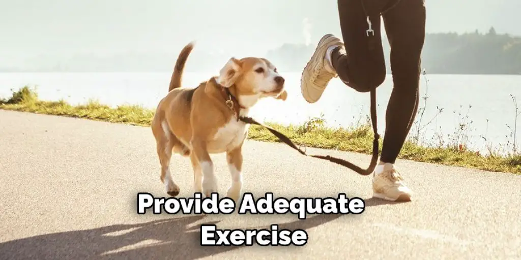 Provide Adequate Exercise