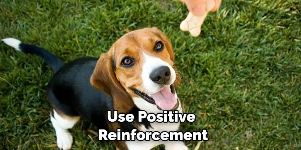Use Positive Reinforcement
