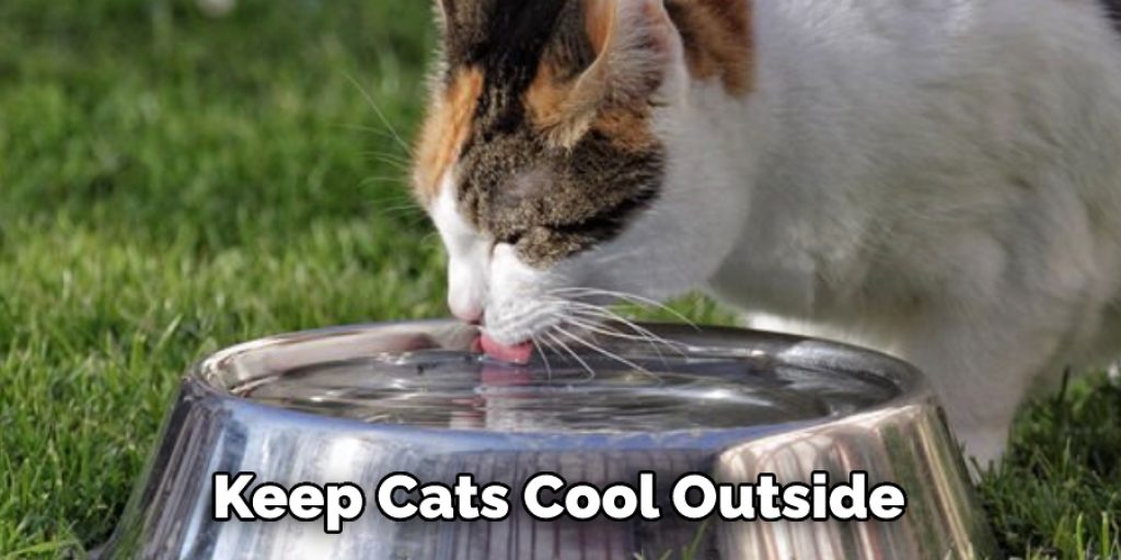 Keep Cats Cool Outside