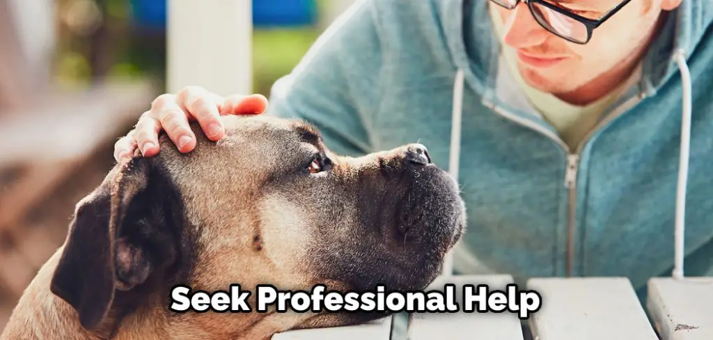 Seek Professional Help