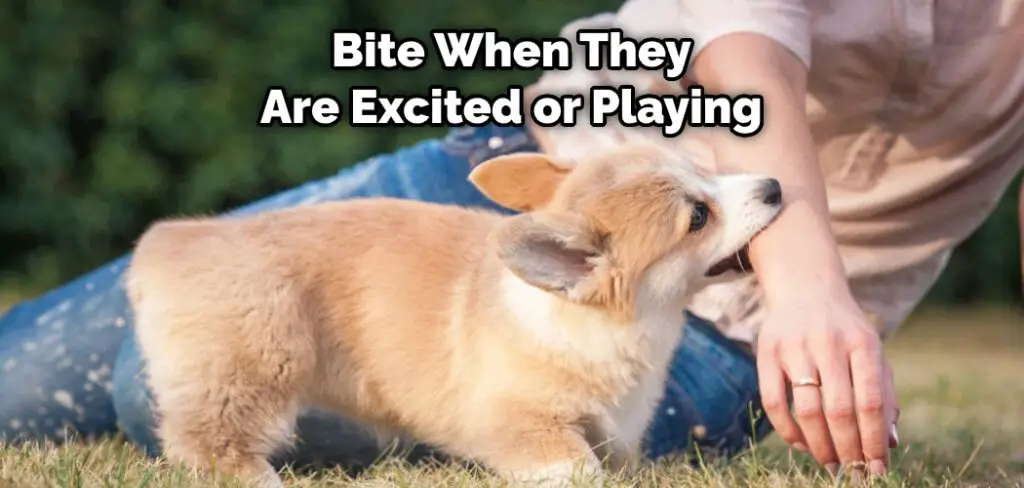 Bite When They Are Excited or Playing