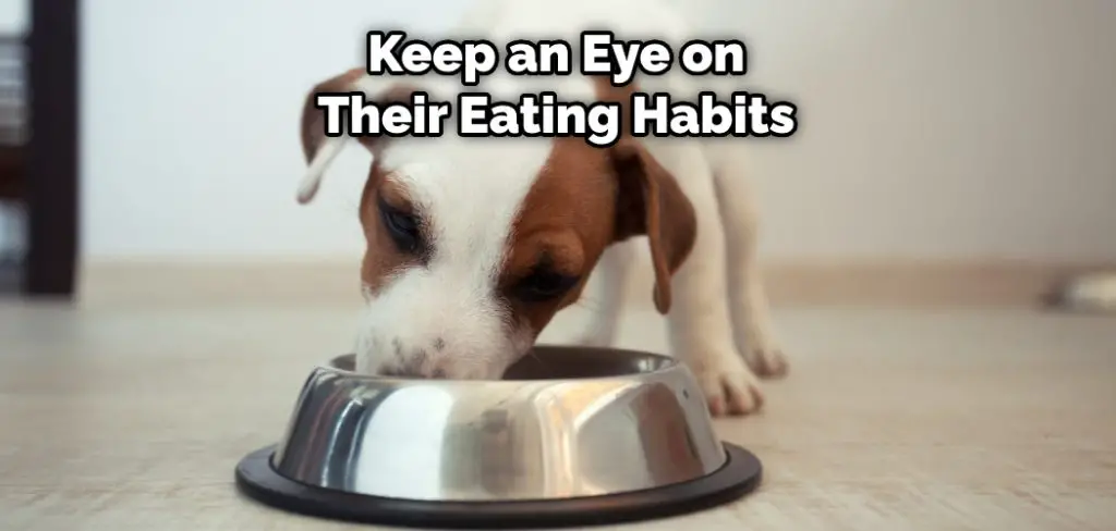 Keep an Eye on Their Eating Habits