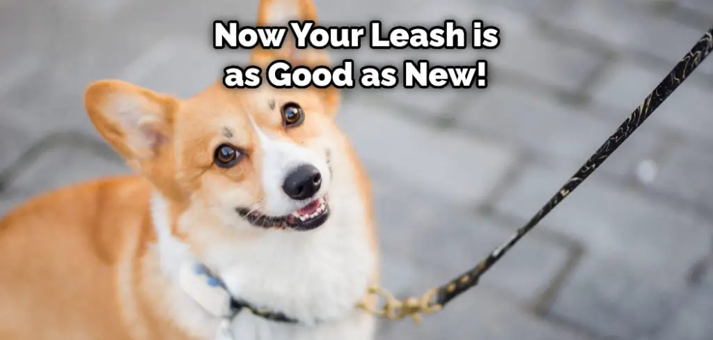 Now Your Leash is as Good as New!