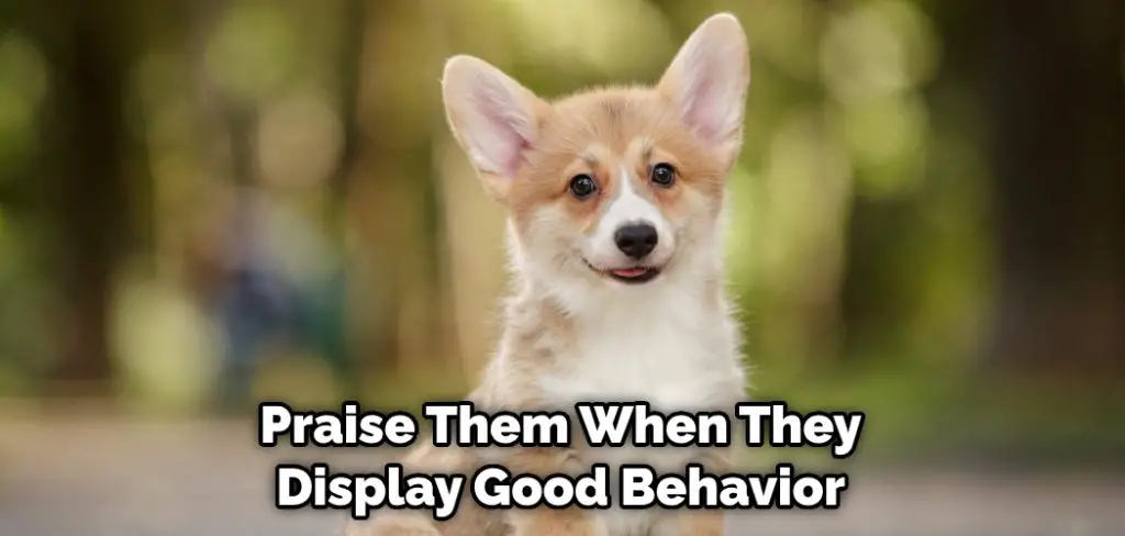 Praise Them When They Display Good Behavior