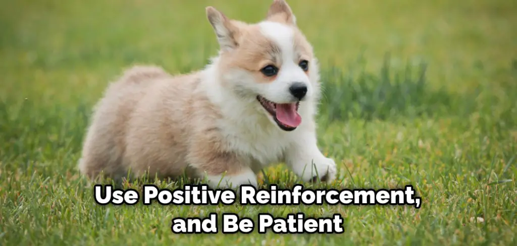 Use Positive Reinforcement, and Be Patient