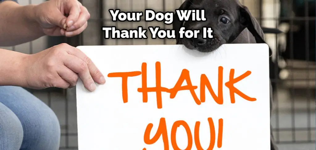 Your Dog Will Thank You for It