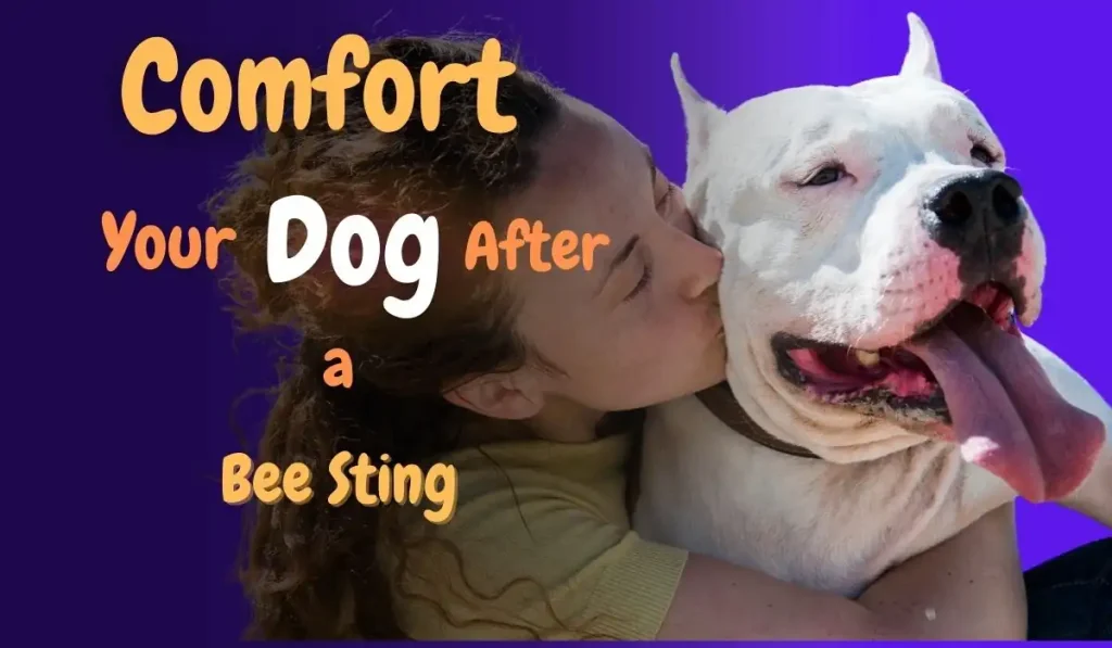 Girl embraces and kisses her Dog while offering comfort after it was stung by a bee.