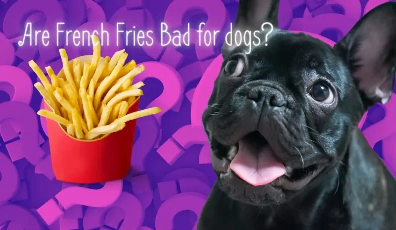Are French Fries Bad for Dogs?