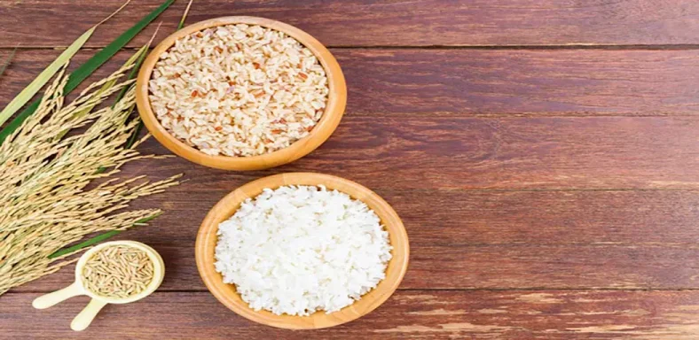 Brown Rice or White Rice for Dogs: What’s the Best Choice?