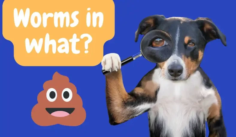 Worms Begone! Understanding and Preventing Worms in Dogs