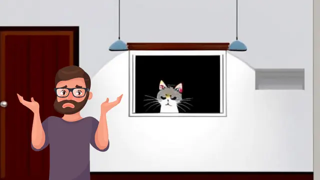 an illustration of a man shrugging while cat in backgorund annoyed doesn't like to cuddle
