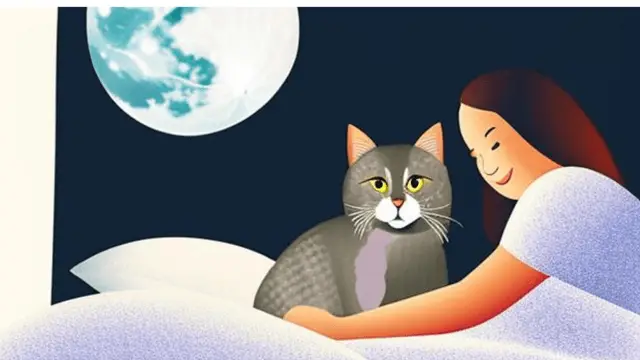 illustration of a cat and owner getting ready to sleep.