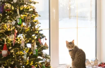 A cat sits on a windowsill near a Christmas tree with fairy lights