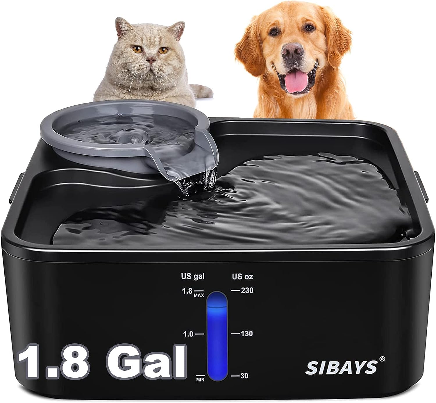 Dog Water Fountain review