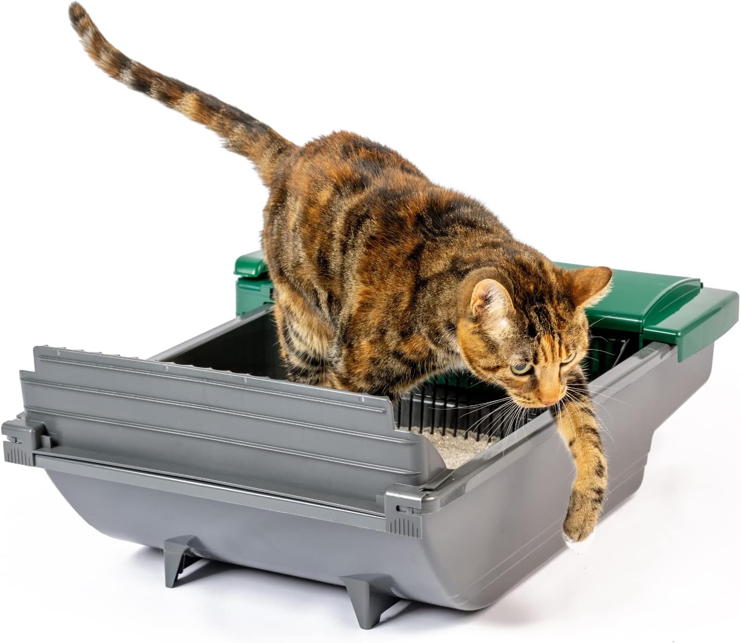 Pet Zone Smart Scoop Automatic Cat Litter Box Review