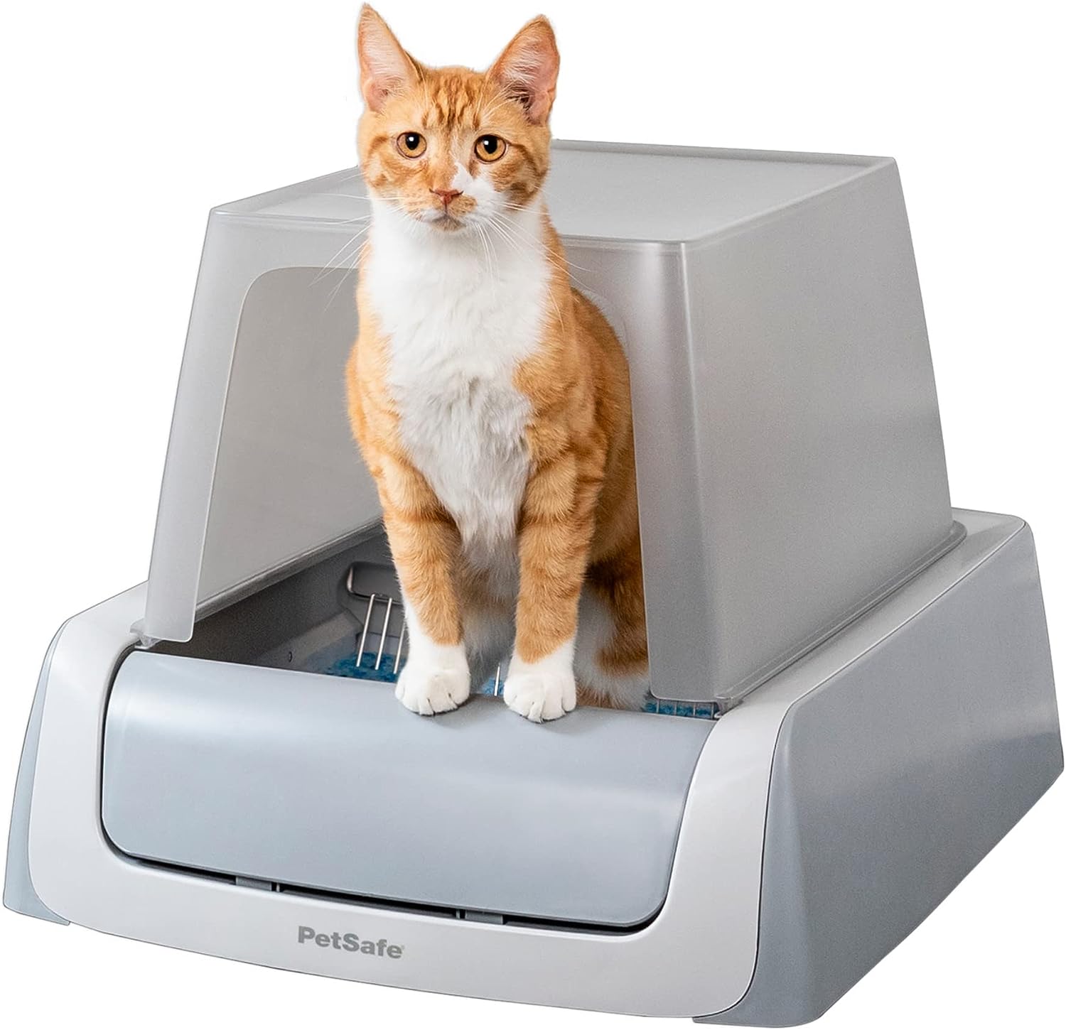PetSafe ScoopFree Complete Plus Self-Cleaning Cat Litter Box Review