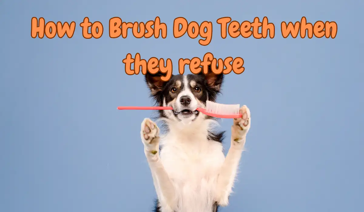 adorable dog biting toothbrush