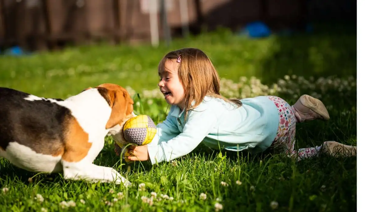 Are Beagles Good for Families