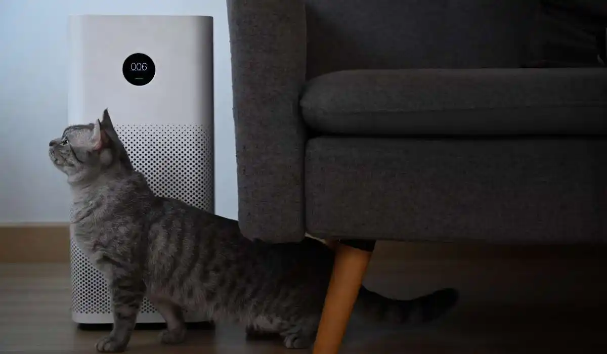 7 Best Air Purifiers for Cat Litter Odor - Breathe Easy With These Top Picks