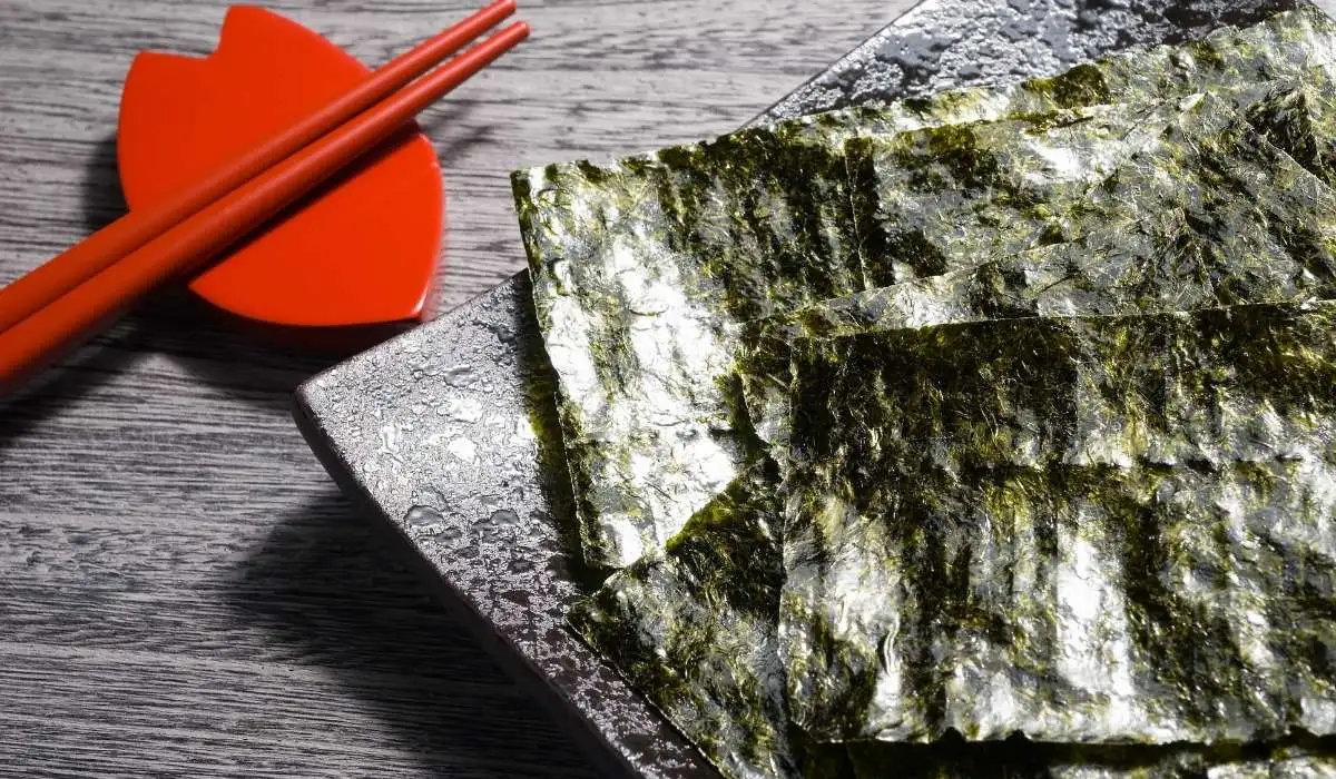 Can Cats Eat Nori
