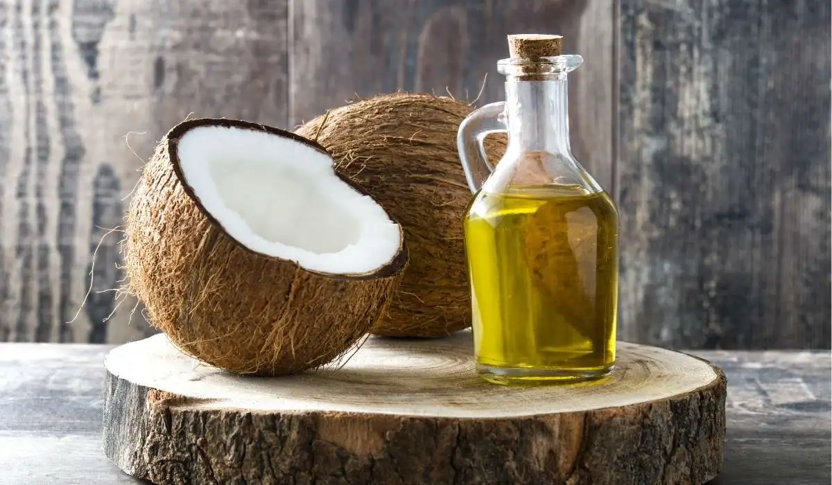 Coconut Oil Bad for Dogs