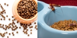 How to Keep Roaches Away From Dog Food